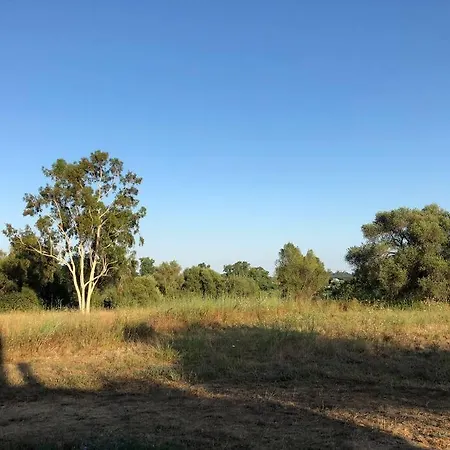 U Primu Spacieux Au Calme Lejlighed