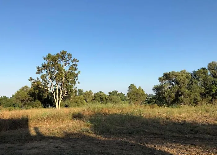 U Primu Spacieux Au Calme Apartment